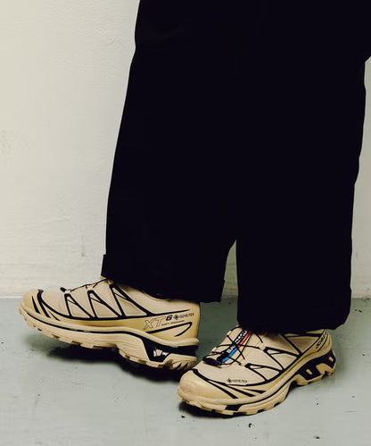 Salomon XT6  Beige